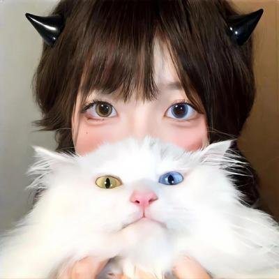 新边城浪子